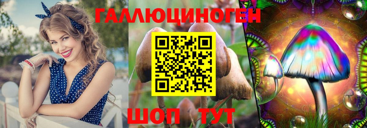 Псилоцибиновые грибы мицелий Краснознаменск