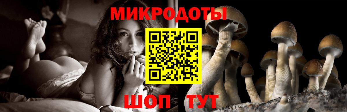 закладки  Вход с VPN  Краснознаменск  Псилоцибиновые грибы Psilocybine cubensis 